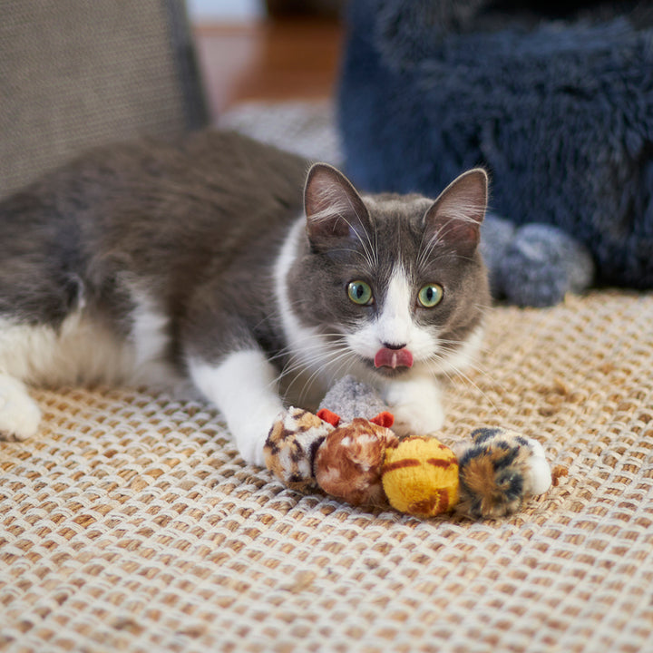 Kazoo Cat Toy Velcro Worm