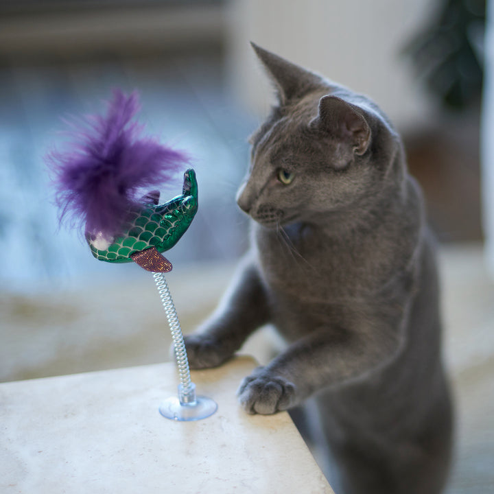 Kazoo Cat Toy Bouncy Fish