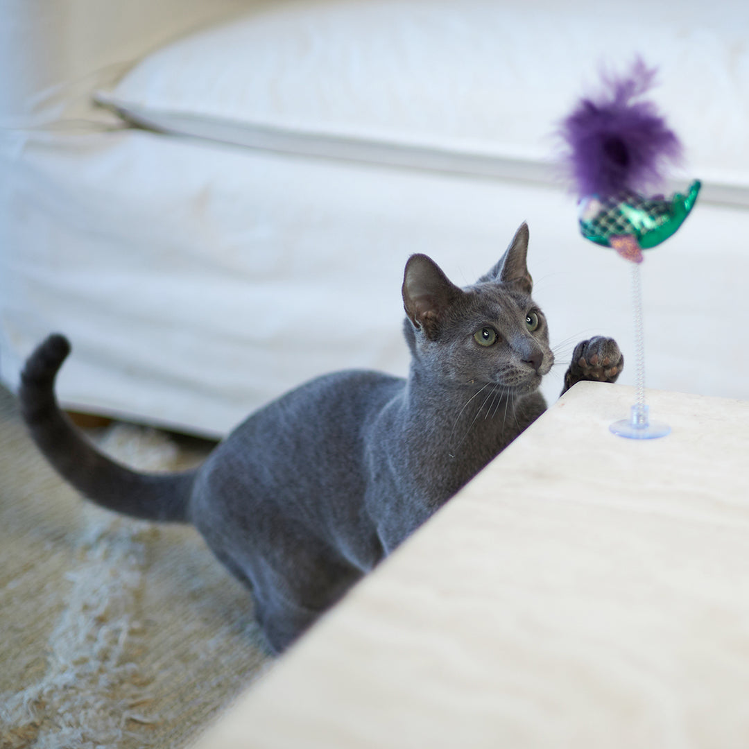 Kazoo Cat Toy Bouncy Fish