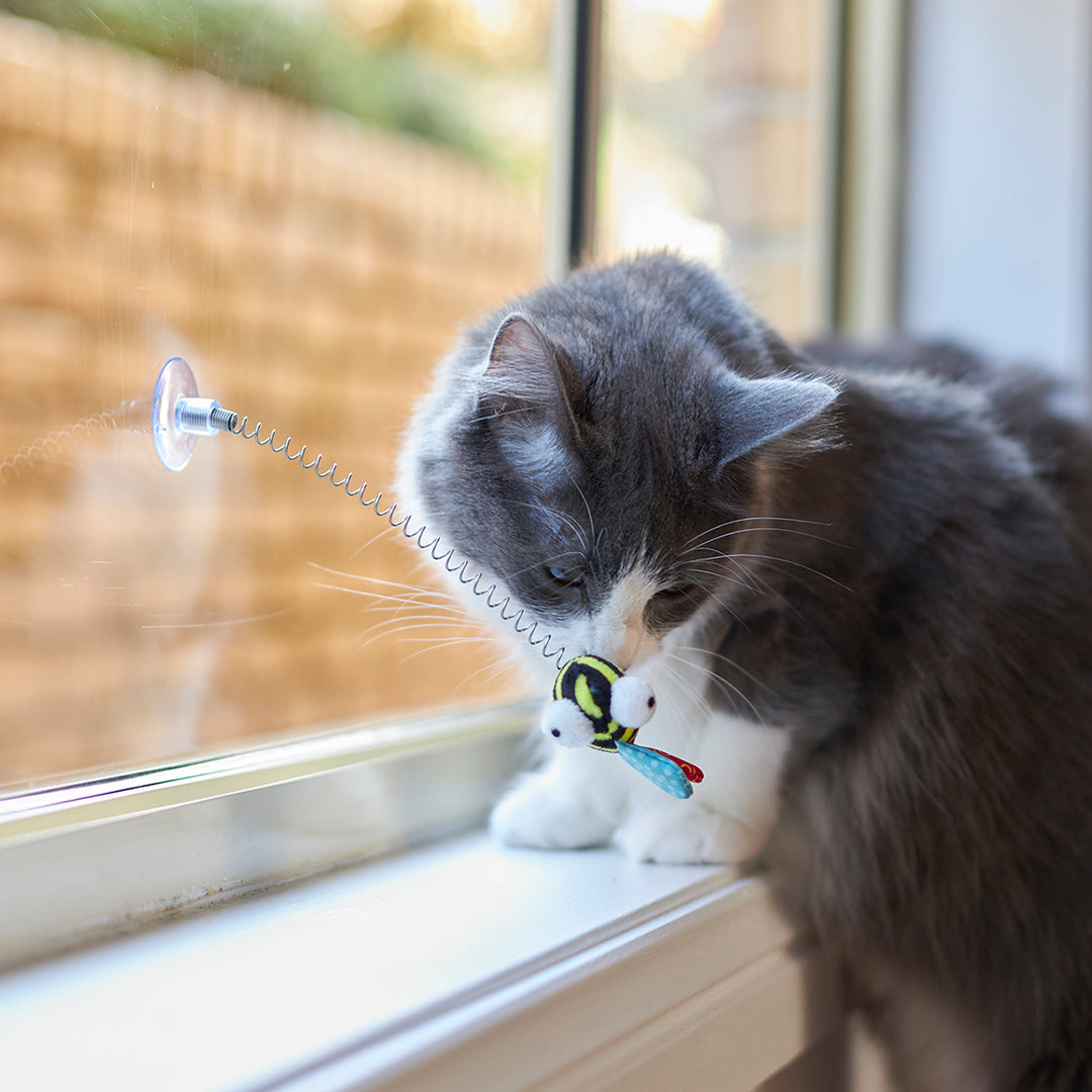 Kazoo Cat Toy Bouncy Bee