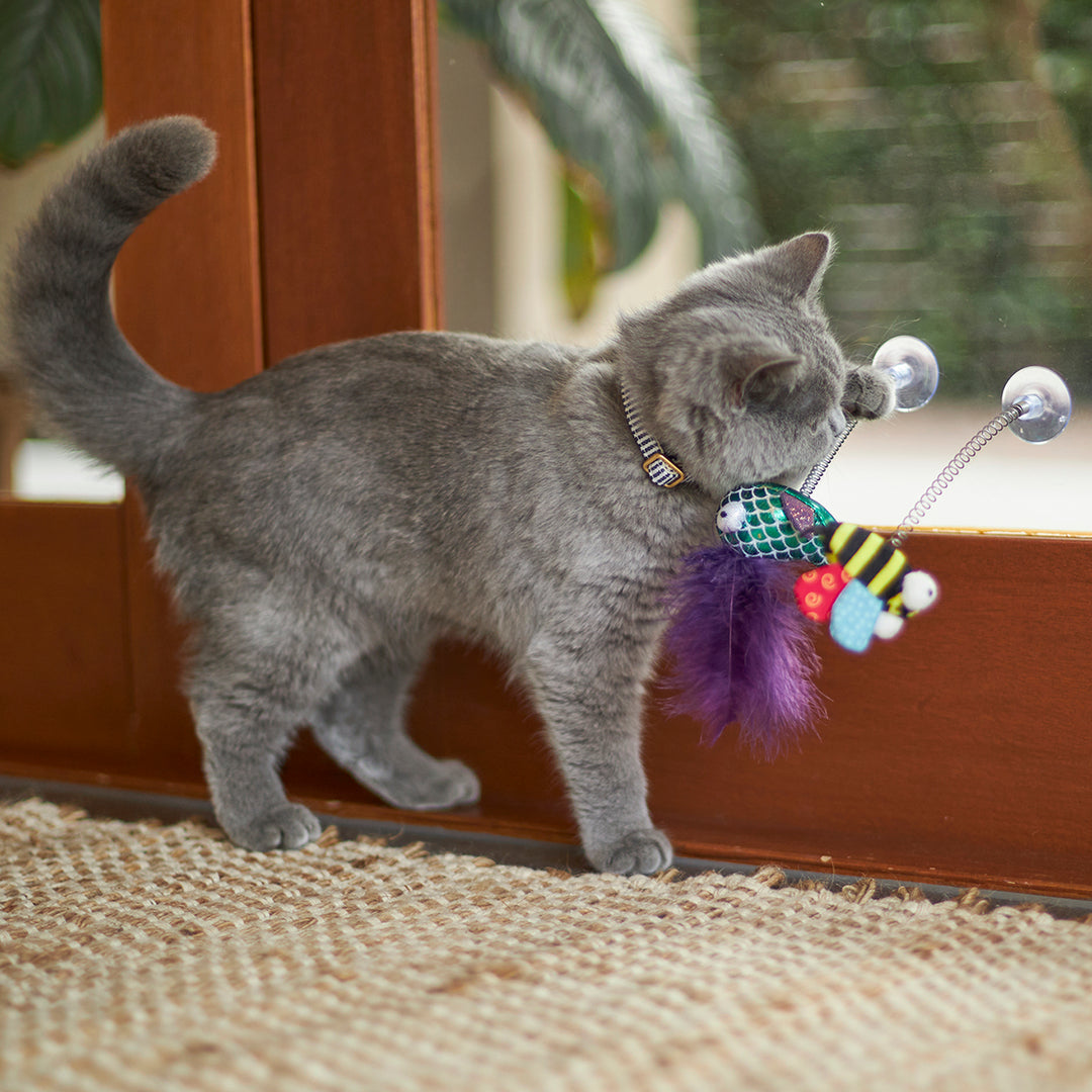 Kazoo Cat Toy Bouncy Bee