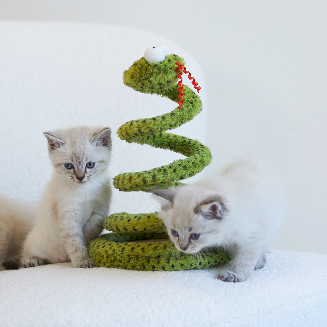 Kazoo Cat Toy Springy Snake