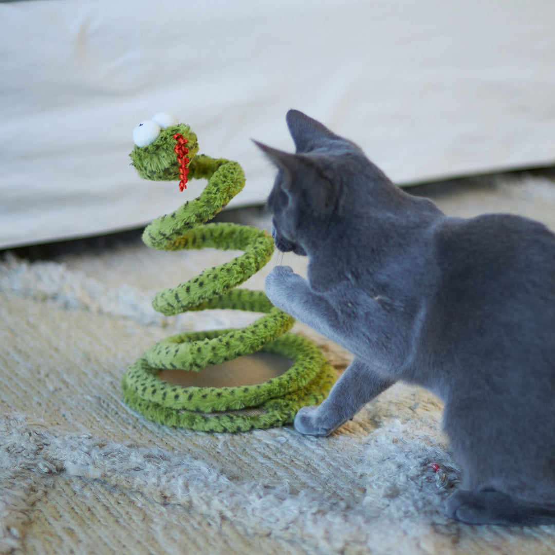 Kazoo Cat Toy Springy Snake