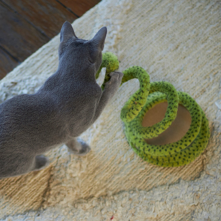 Kazoo Cat Toy Springy Snake