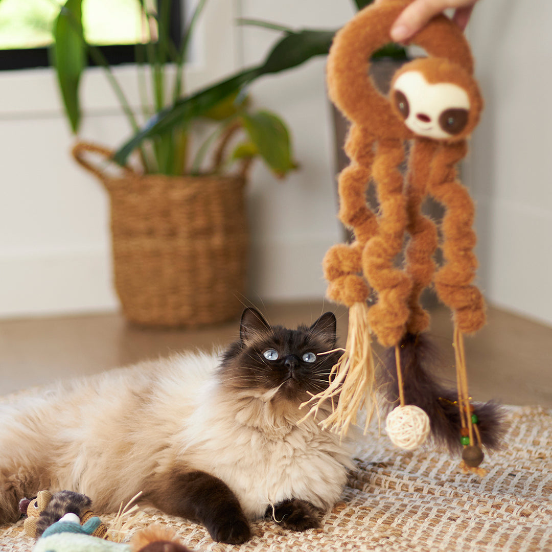 Kazoo Cat Toy Long Legged Sloth