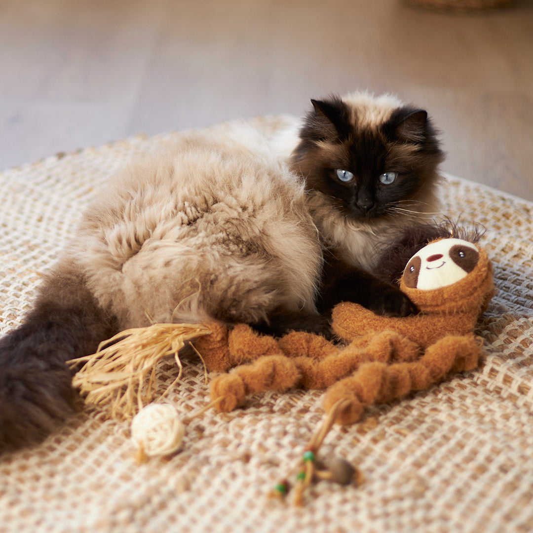 Kazoo Cat Toy Long Legged Sloth