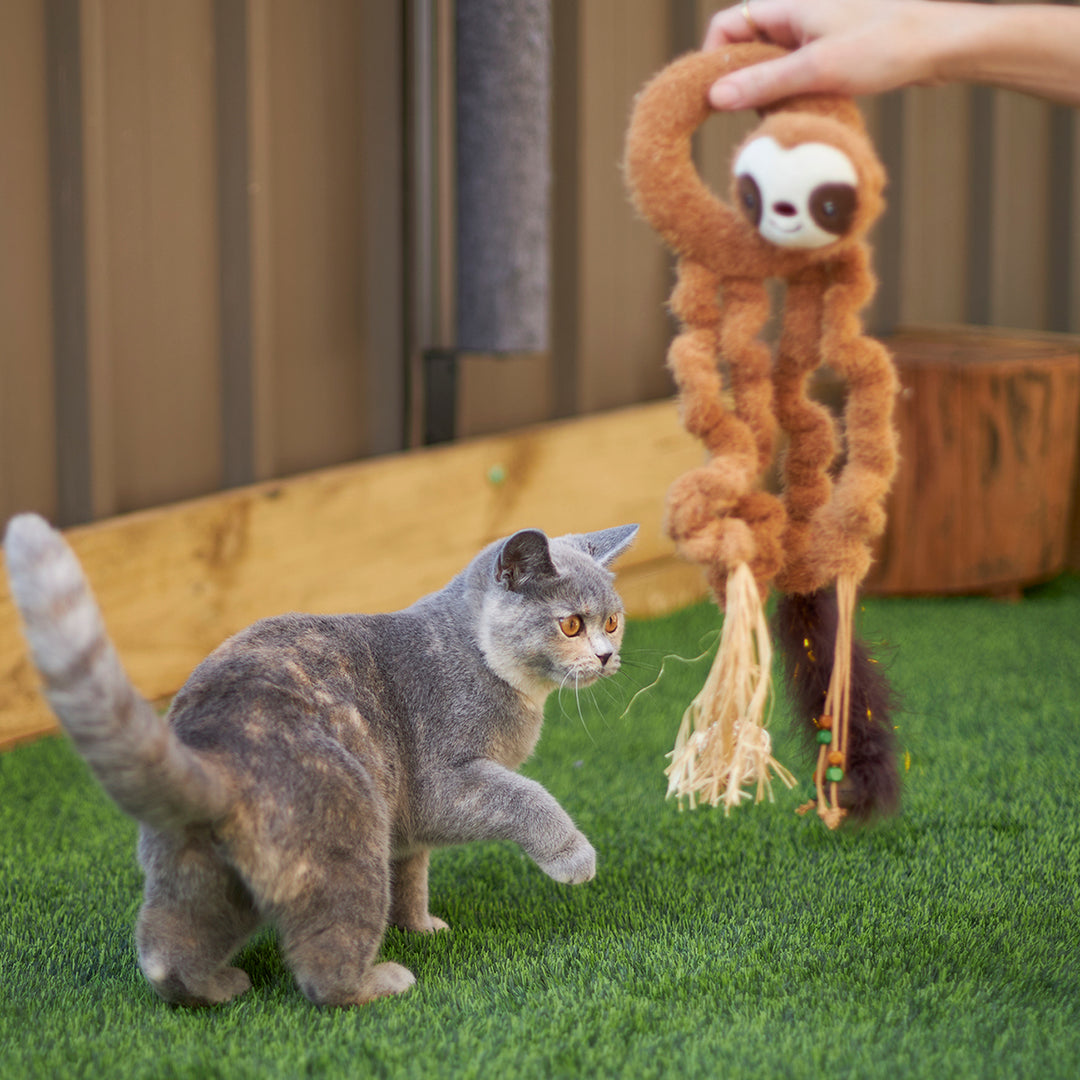 Kazoo Cat Toy Long Legged Sloth