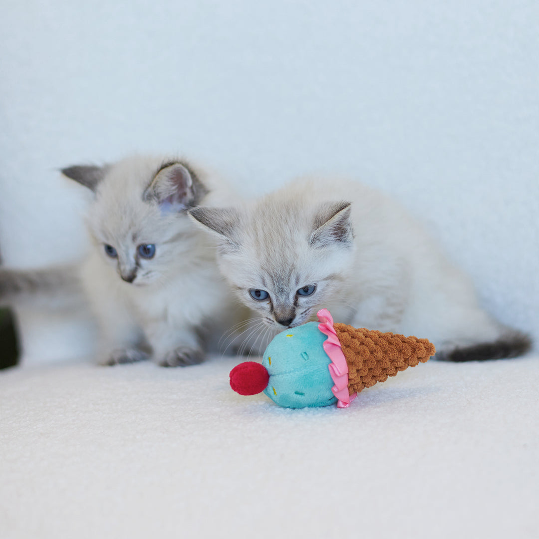 Kazoo Cat Toy Icecream Vibes