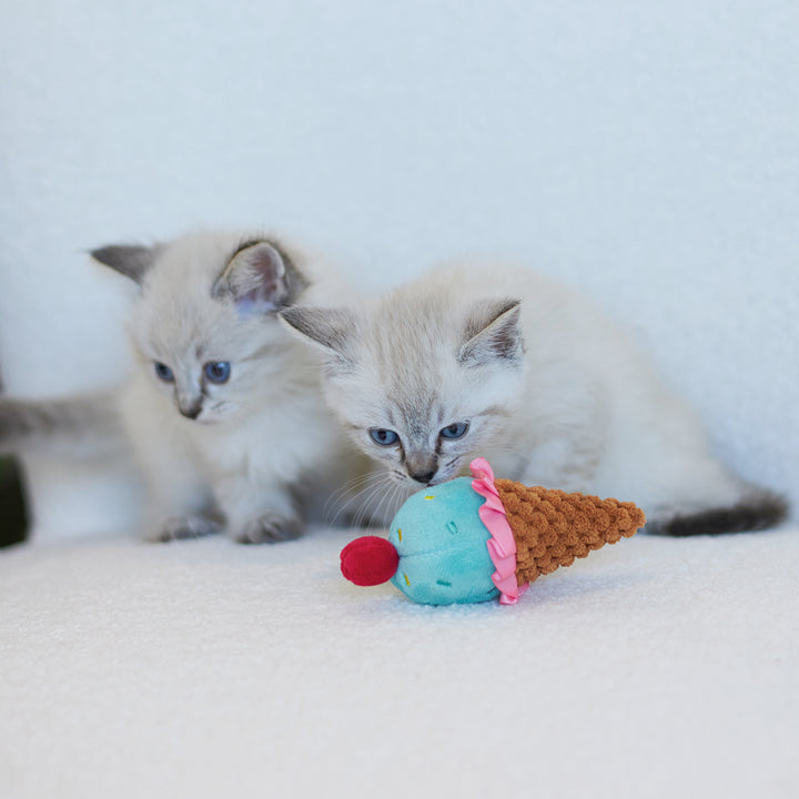 Kazoo Cat Toy Icecream Vibes