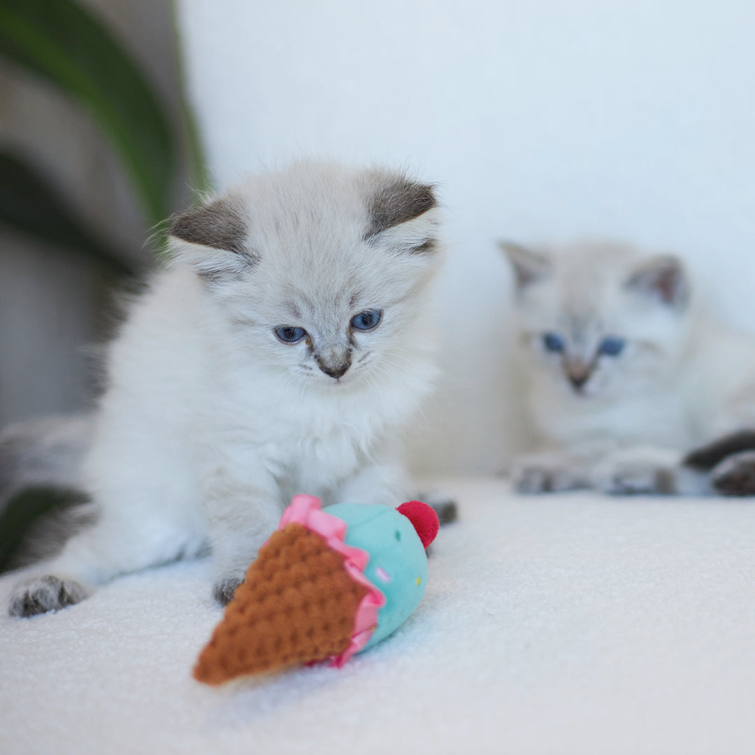 Kazoo Cat Toy Icecream Vibes