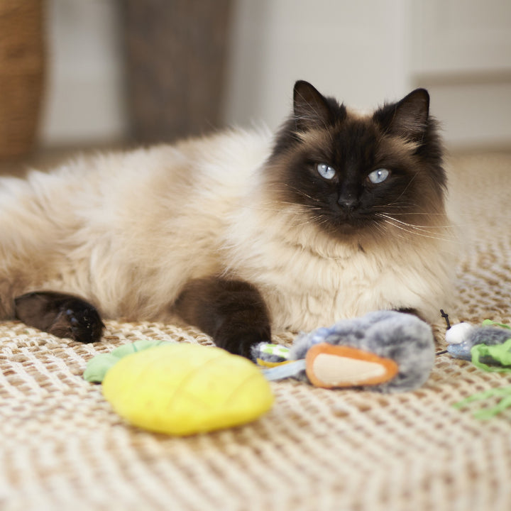 Kazoo Cat Toy Crinkly Pineapple