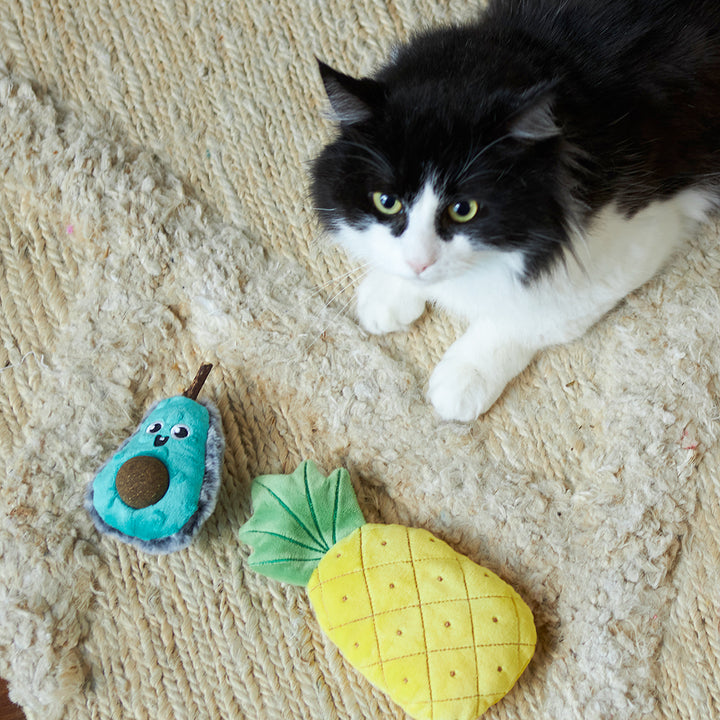 Kazoo Cat Toy Crinkly Pineapple