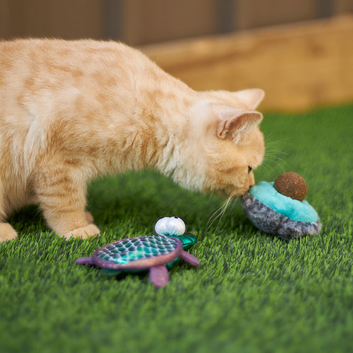 Kazoo Cat Toy Playful Avocado