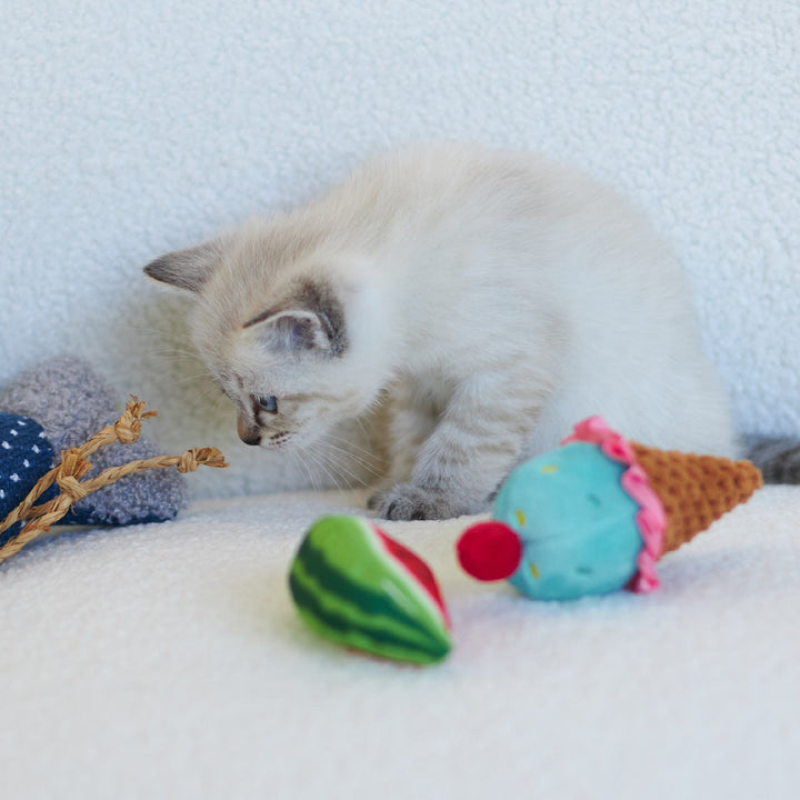 Kazoo Cat Toy Watermelon Wedge