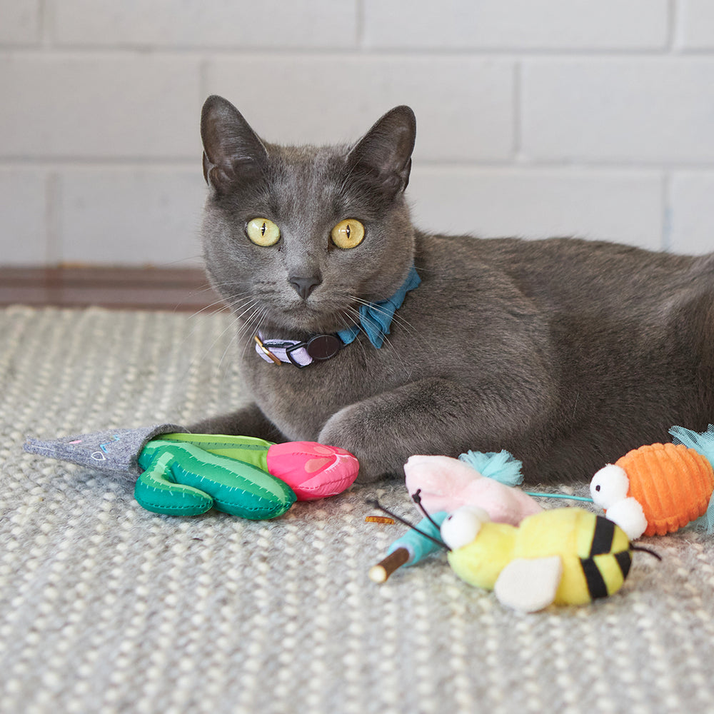 Kazoo Cat Toy Cactus Garden