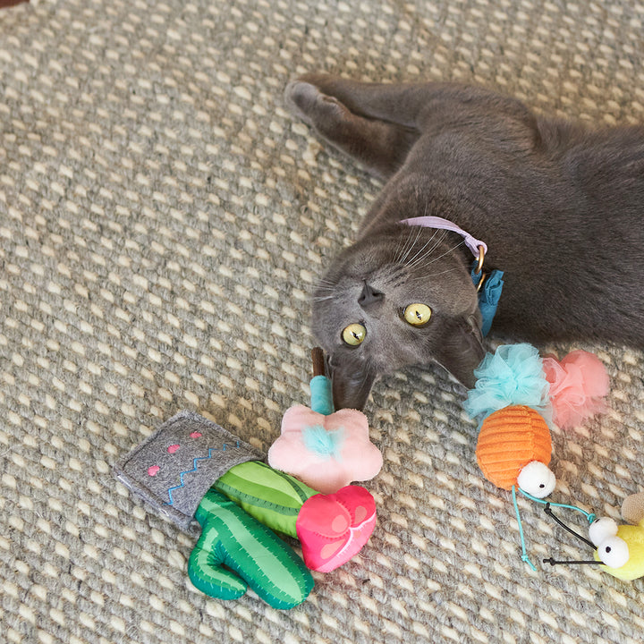 Kazoo Cat Toy Cactus Garden