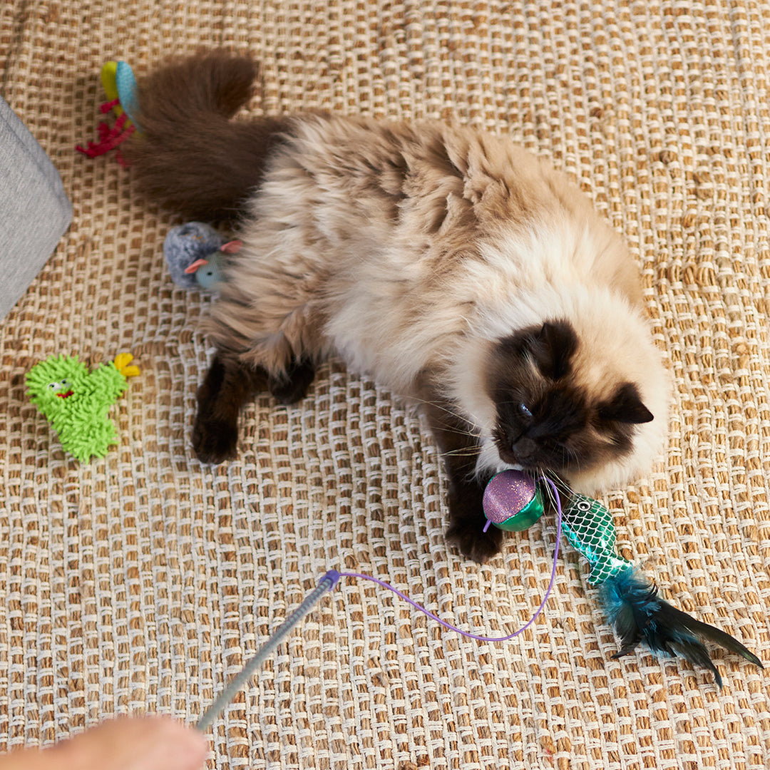 Kazoo Cat Toy Scruffy Cactus W Catnip