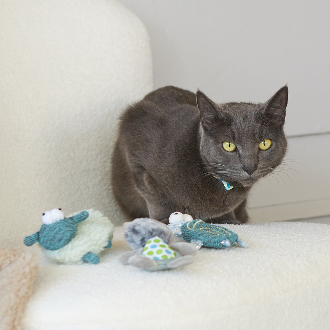 Kazoo Cat Toy Squinty Sheep