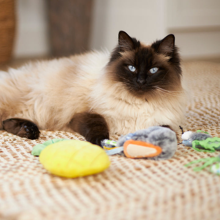 Kazoo Cat Toy Hungry Bunny W Catnip