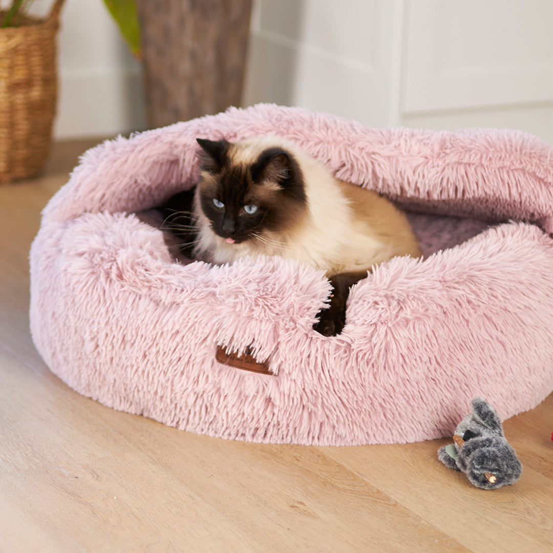 Kazoo Cat Toy Koala Cuddles