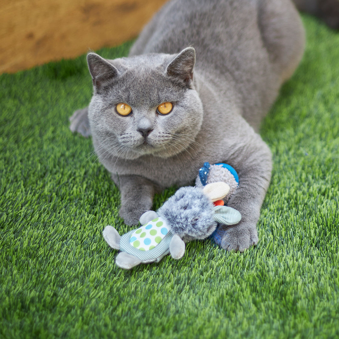 Kazoo Cat Toy Grumpy Rabbitwcatnip