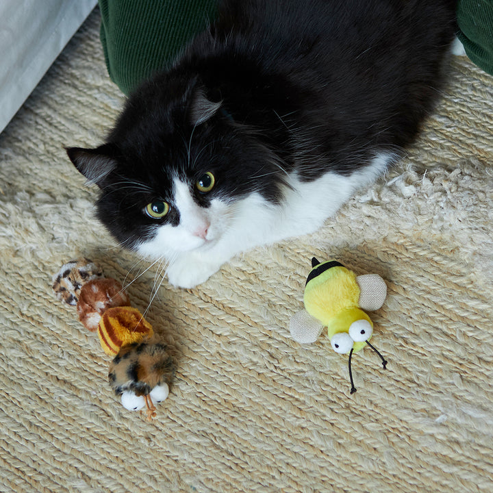 Kazoo Cat Toy Busy Bee W Sound
