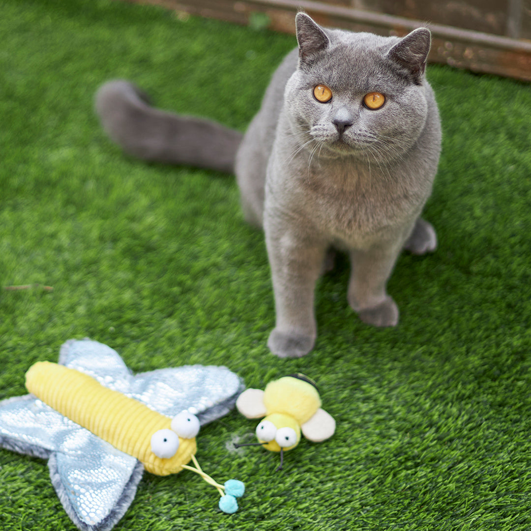 Kazoo Cat Toy Busy Bee W Sound
