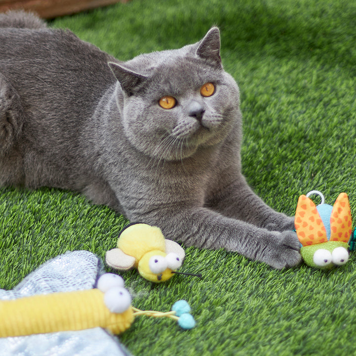 Kazoo Cat Toy Busy Bee W Sound