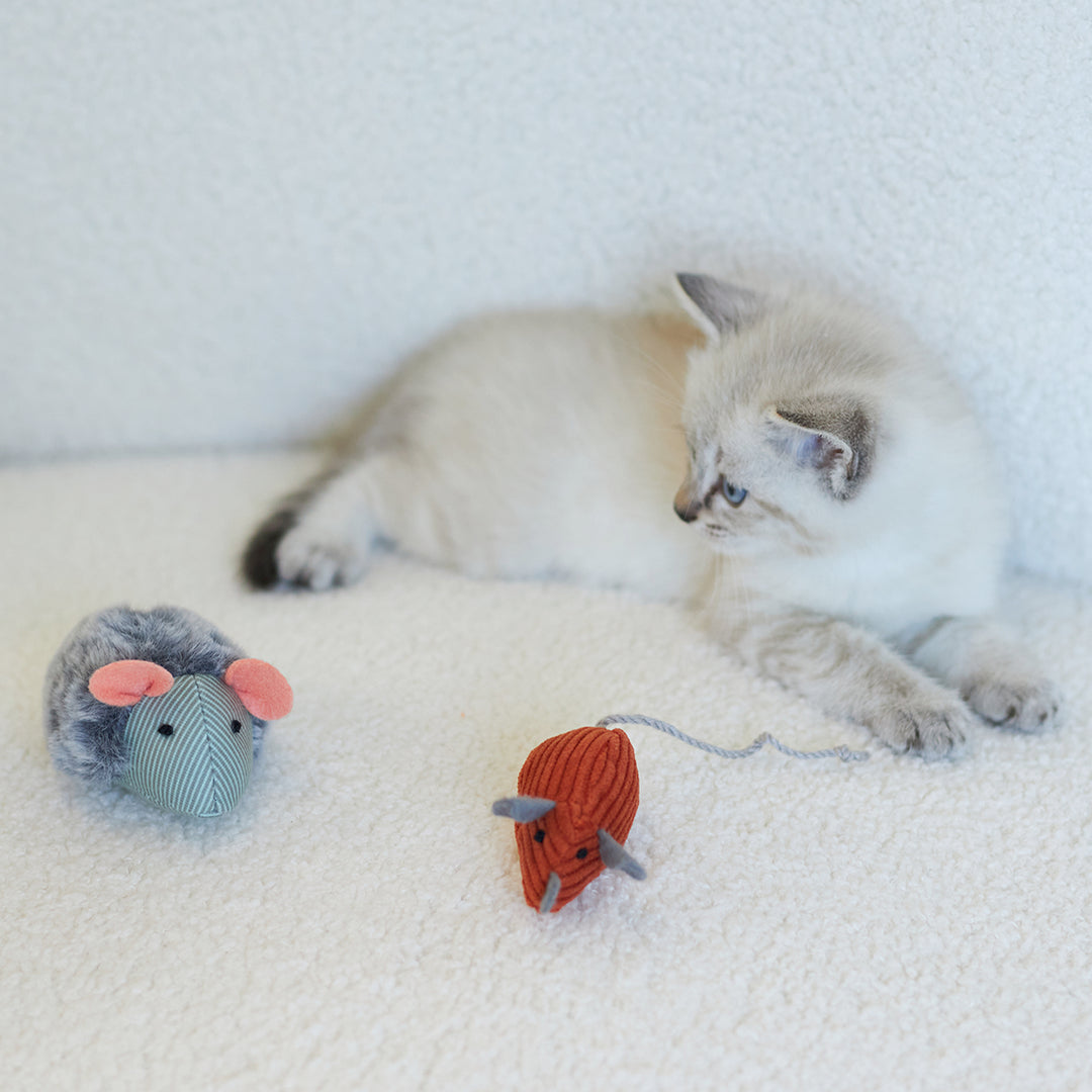Kazoo Cat Toy Noisy Mousewsound