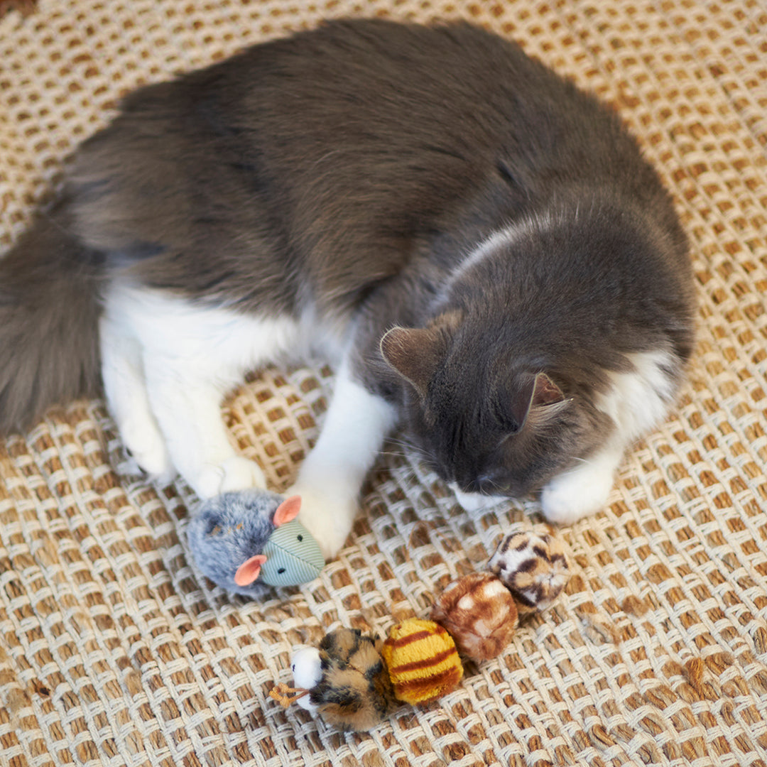 Kazoo Cat Toy Noisy Mousewsound