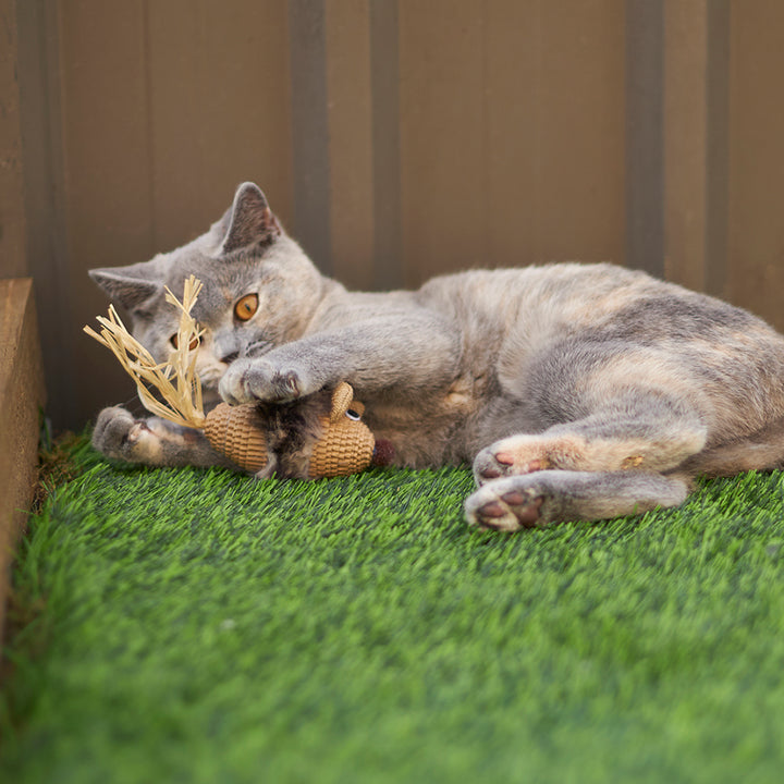 Kazoo Cat Toy Sneaky Mouse