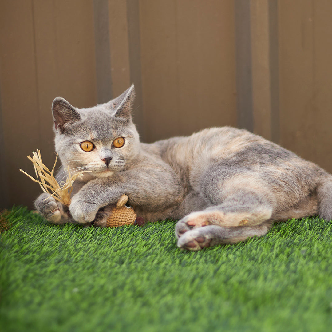 Kazoo Cat Toy Sneaky Mouse