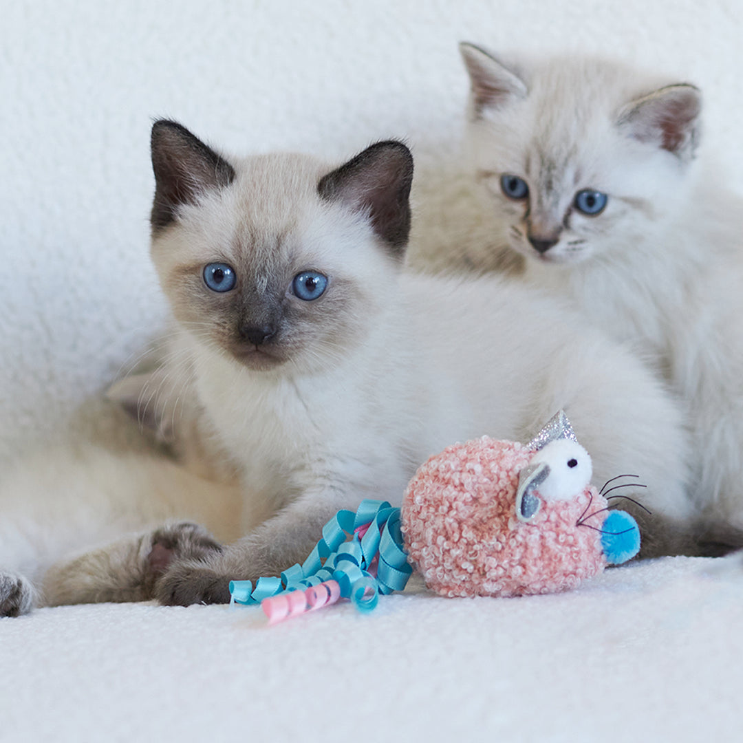 Kazoo Cat Toy Pinky Squeaky Mouse