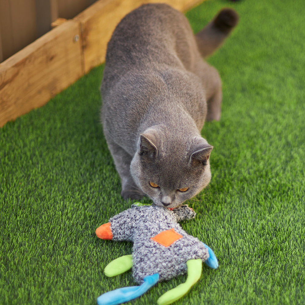 Kazoo Cat Toy Crinkle Mousewcatnip