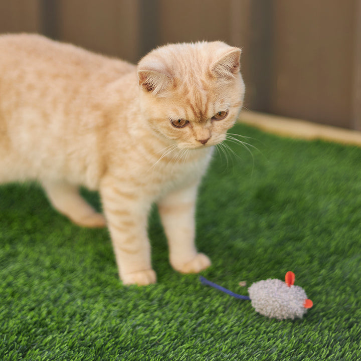 Kazoo Cat Toy Thrice The Mice