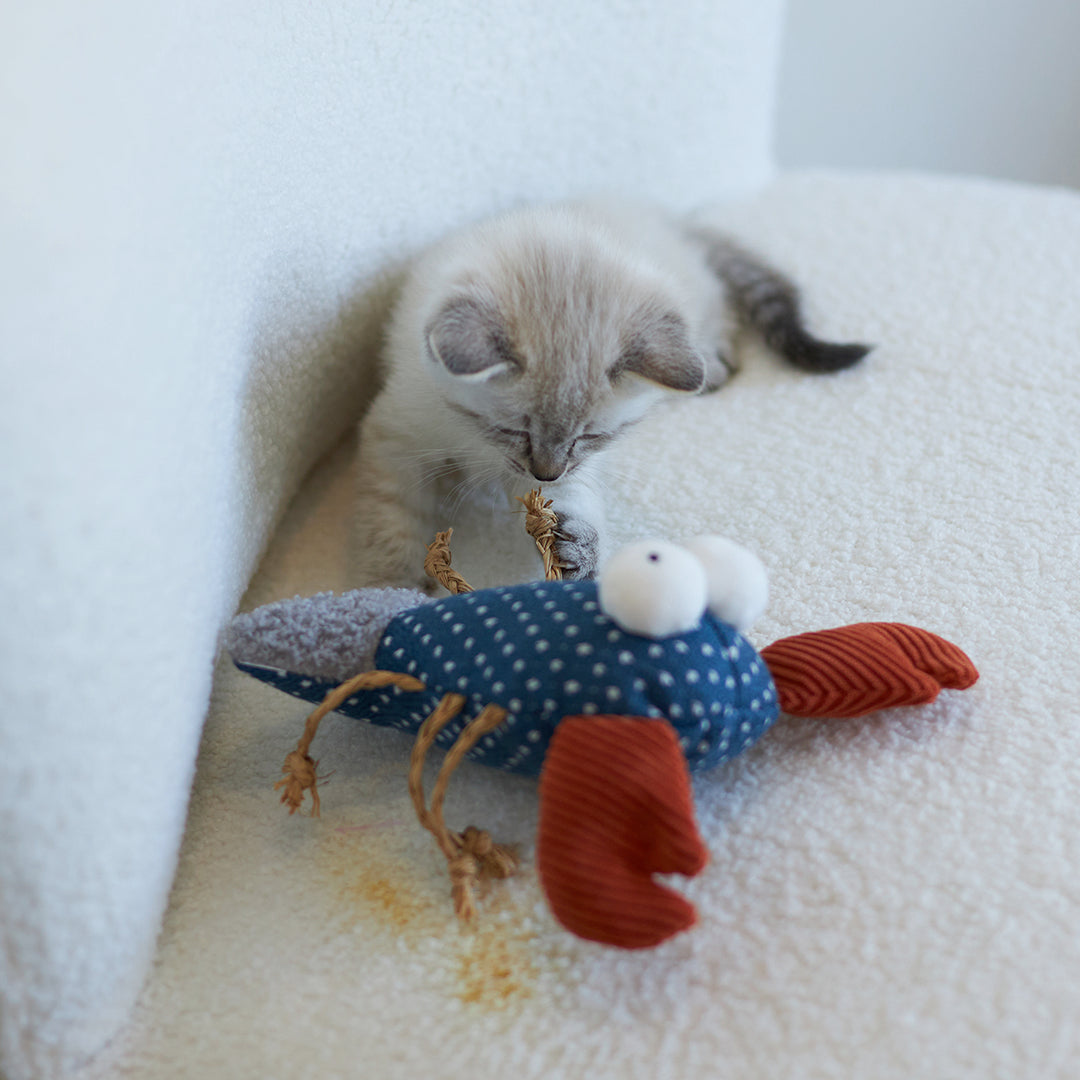 Kazoo Cat Toy Snappy Lobster