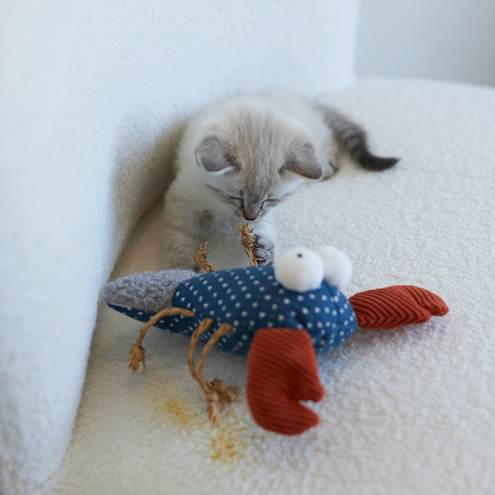 Kazoo Cat Toy Snappy Lobster