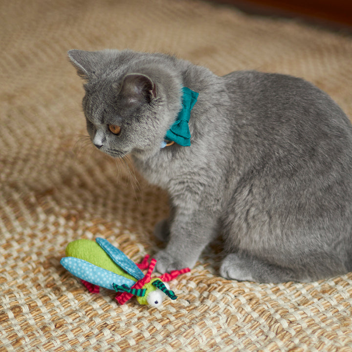 Kazoo Cat Toy Crinkle Bug