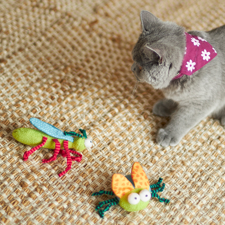 Kazoo Cat Toy Crinkle Bug