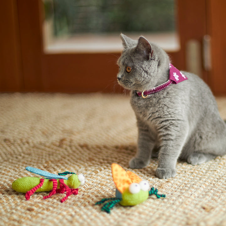 Kazoo Cat Toy Crinkle Bug