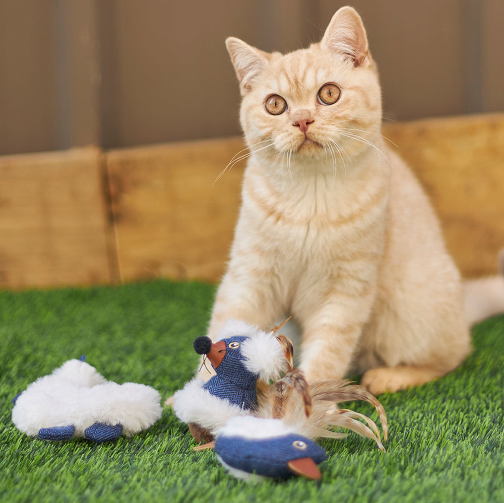 Kazoo Cat Toy Chirpy Birdwsound