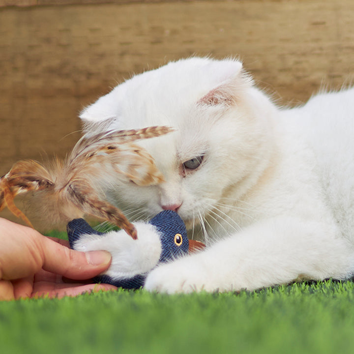 Kazoo Cat Toy Chirpy Birdwsound