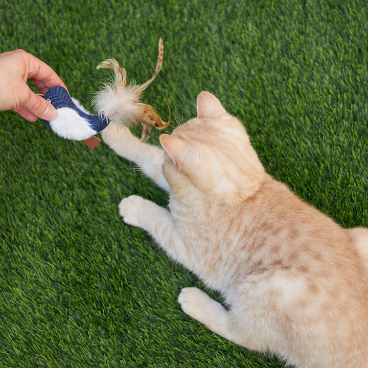 Kazoo Cat Toy Chirpy Birdwsound