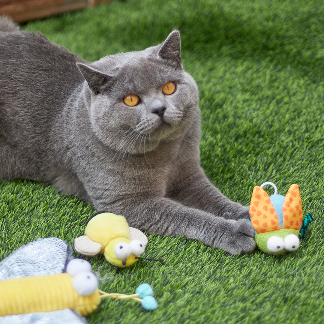 Kazoo Cat Toy Buzzing Bug Vibrates
