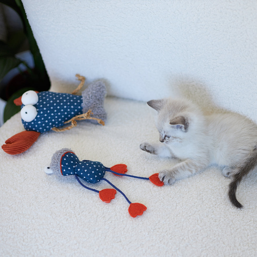Kazoo Cat Toy Floppy Frog