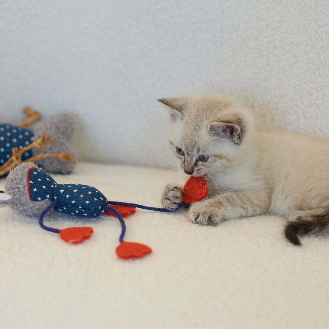 Kazoo Cat Toy Floppy Frog