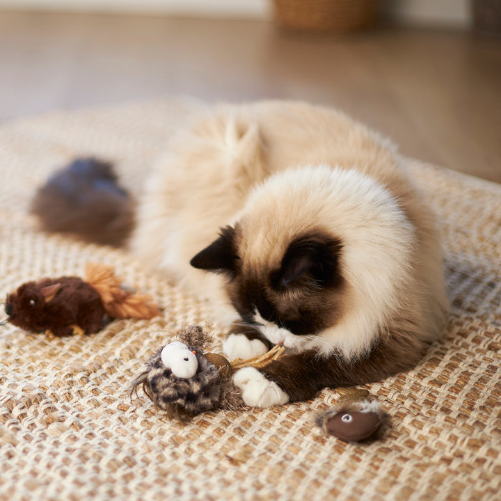 Kazoo Cat Toy Hooty Owlwcatnip