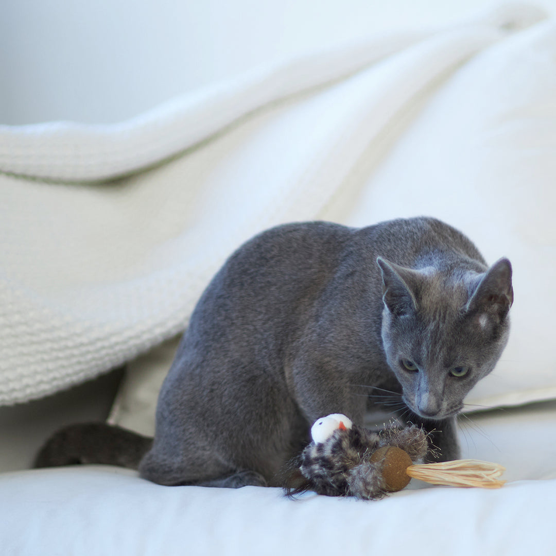 Kazoo Cat Toy Hooty Owlwcatnip