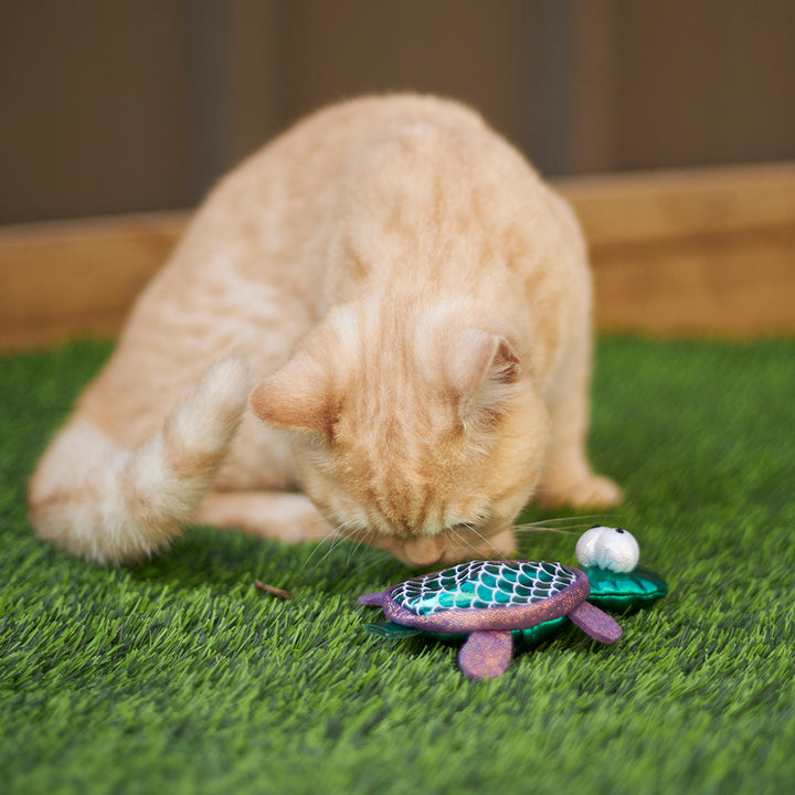 Kazoo Cat Toy Sea Turtlewreplaceable Catnip