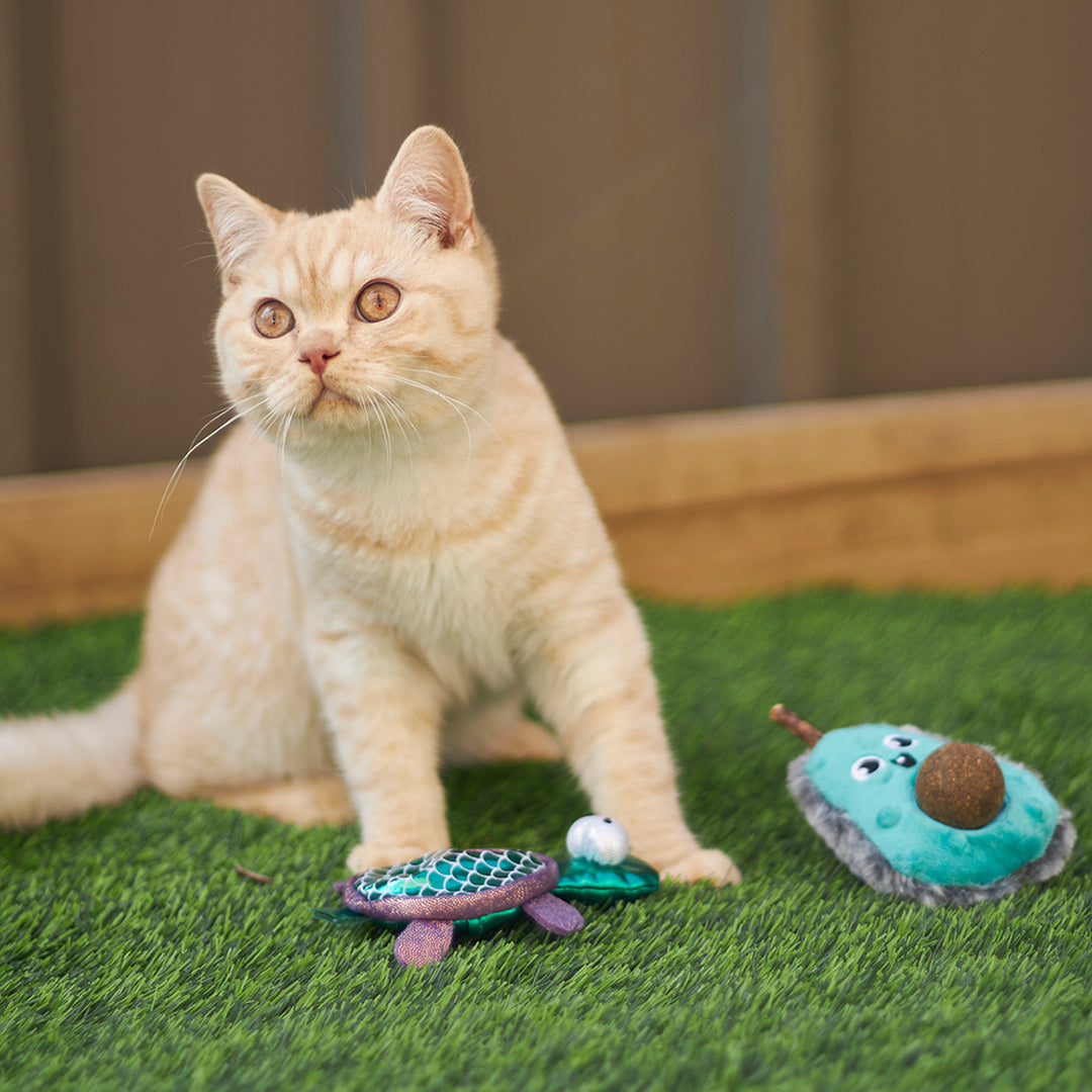 Kazoo Cat Toy Sea Turtlewreplaceable Catnip